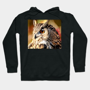 Eurasian Eagle Owl Hoodie